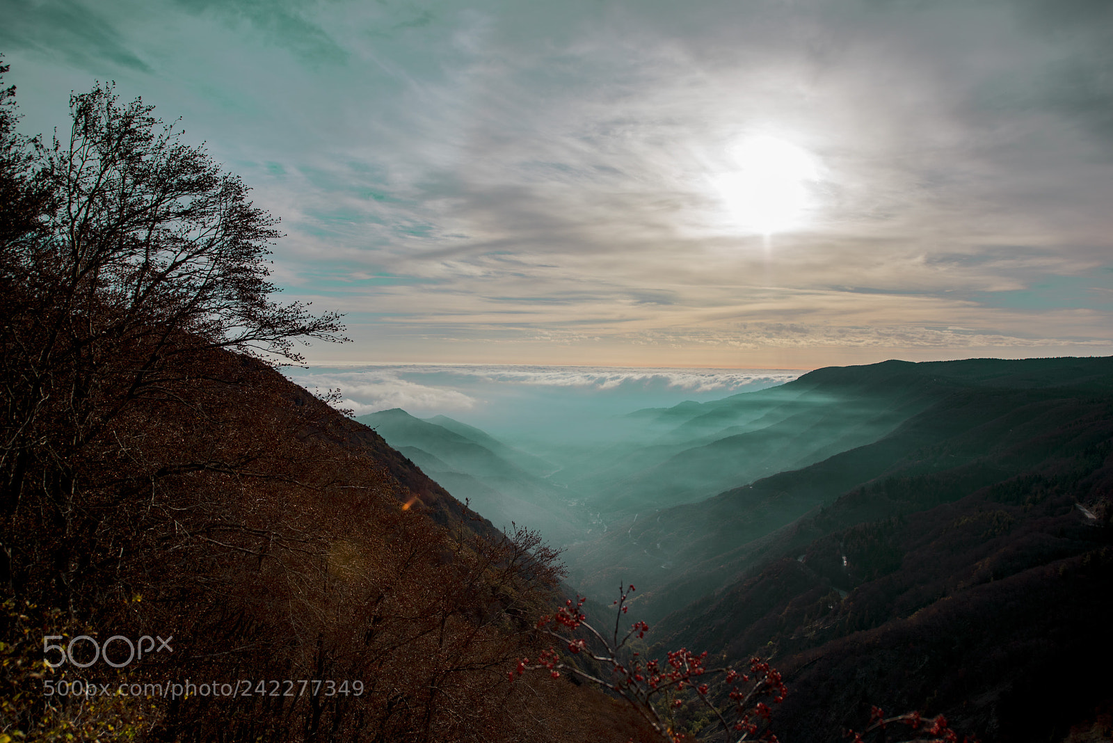 Nikon D810 sample photo. Sunrise on the top photography