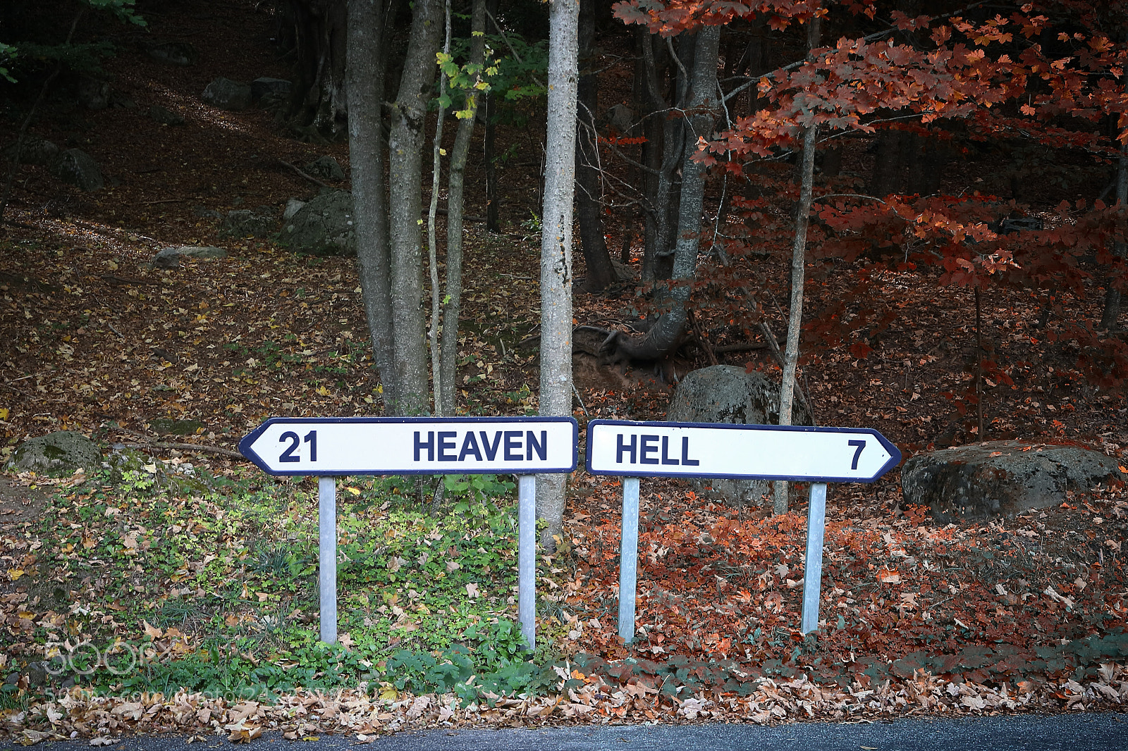 Canon EOS 1000D (EOS Digital Rebel XS / EOS Kiss F) sample photo. Heaven or hell photography