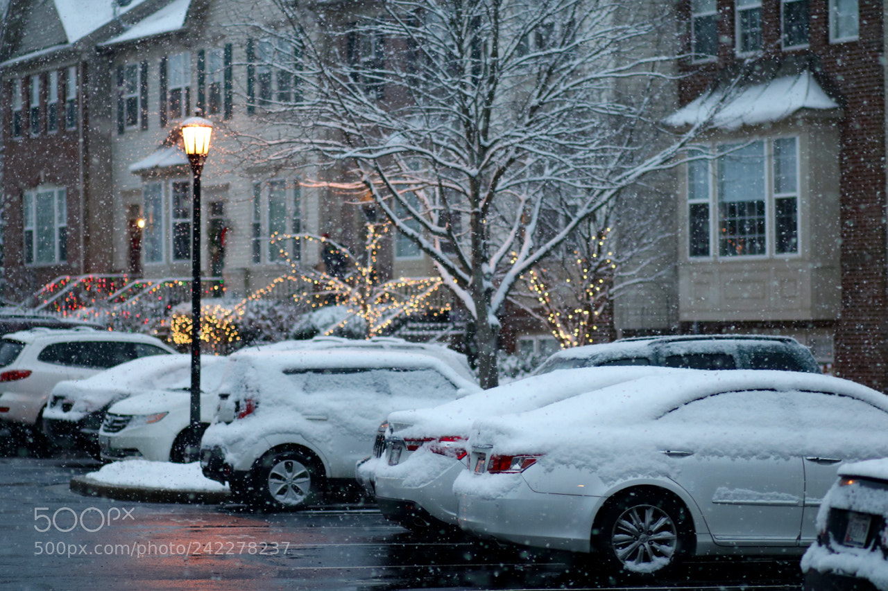Canon EOS 750D (EOS Rebel T6i / EOS Kiss X8i) sample photo. December snow photography