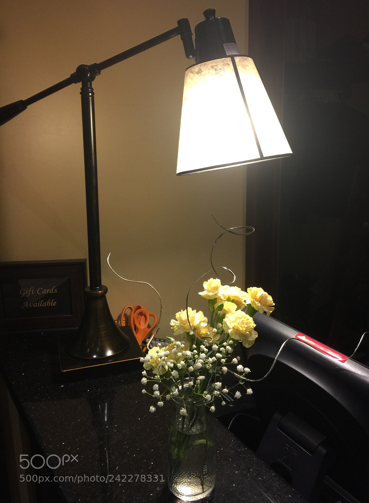 Apple iPhone 6 Plus sample photo. Untitled photography
