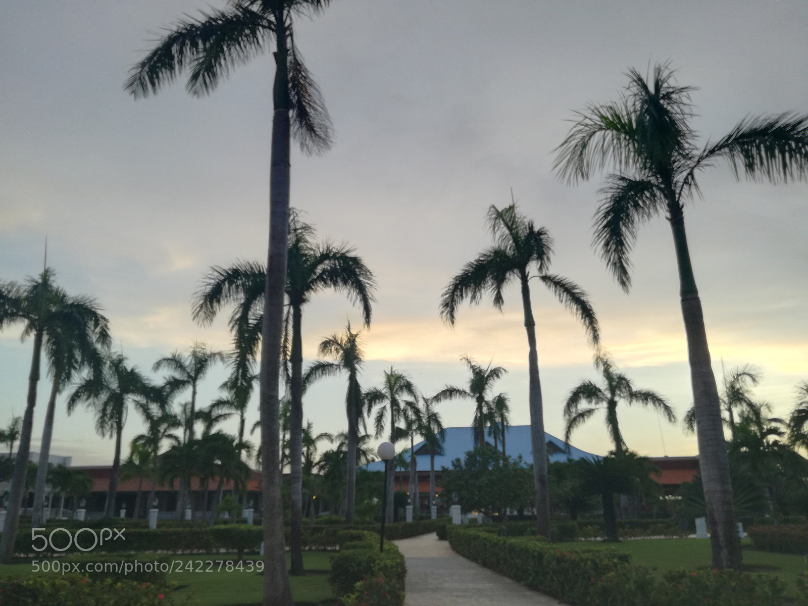 HUAWEI P9 LITE sample photo. Untitled photography