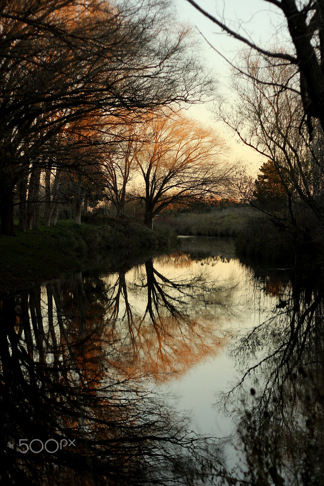 Canon EF 50mm F1.8 II sample photo. Img photography
