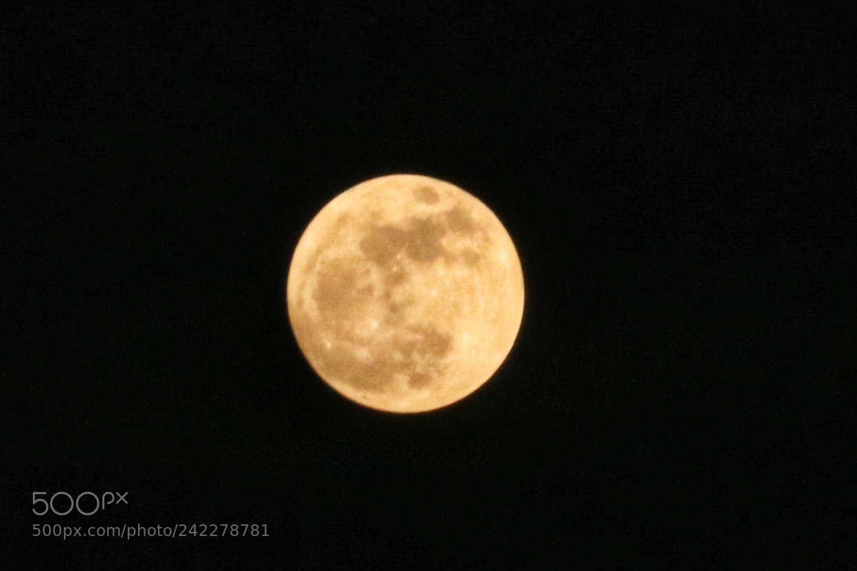 Canon EOS 750D (EOS Rebel T6i / EOS Kiss X8i) sample photo. Untitled photography