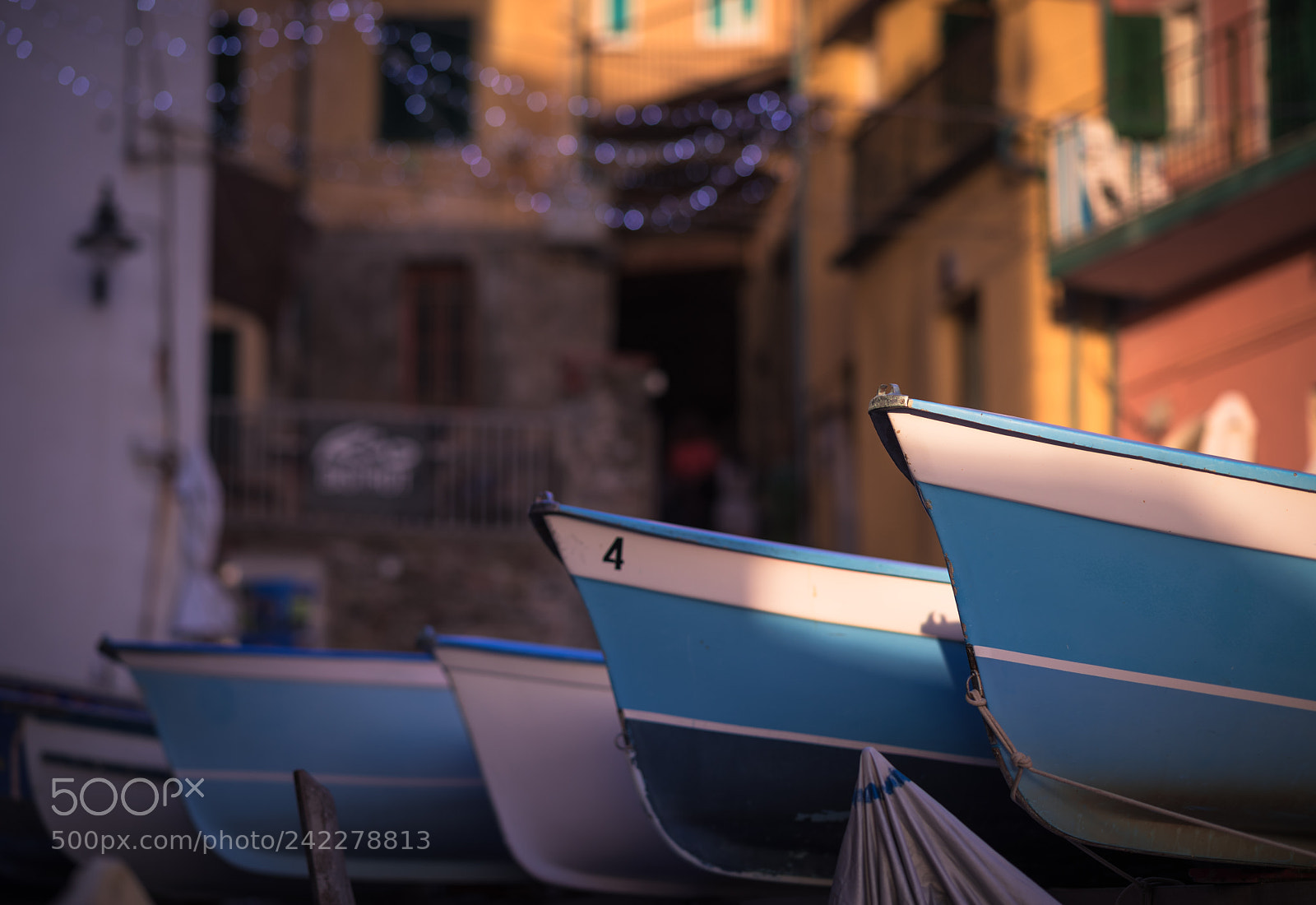 Nikon D810 sample photo. Cinque terre - altre photography