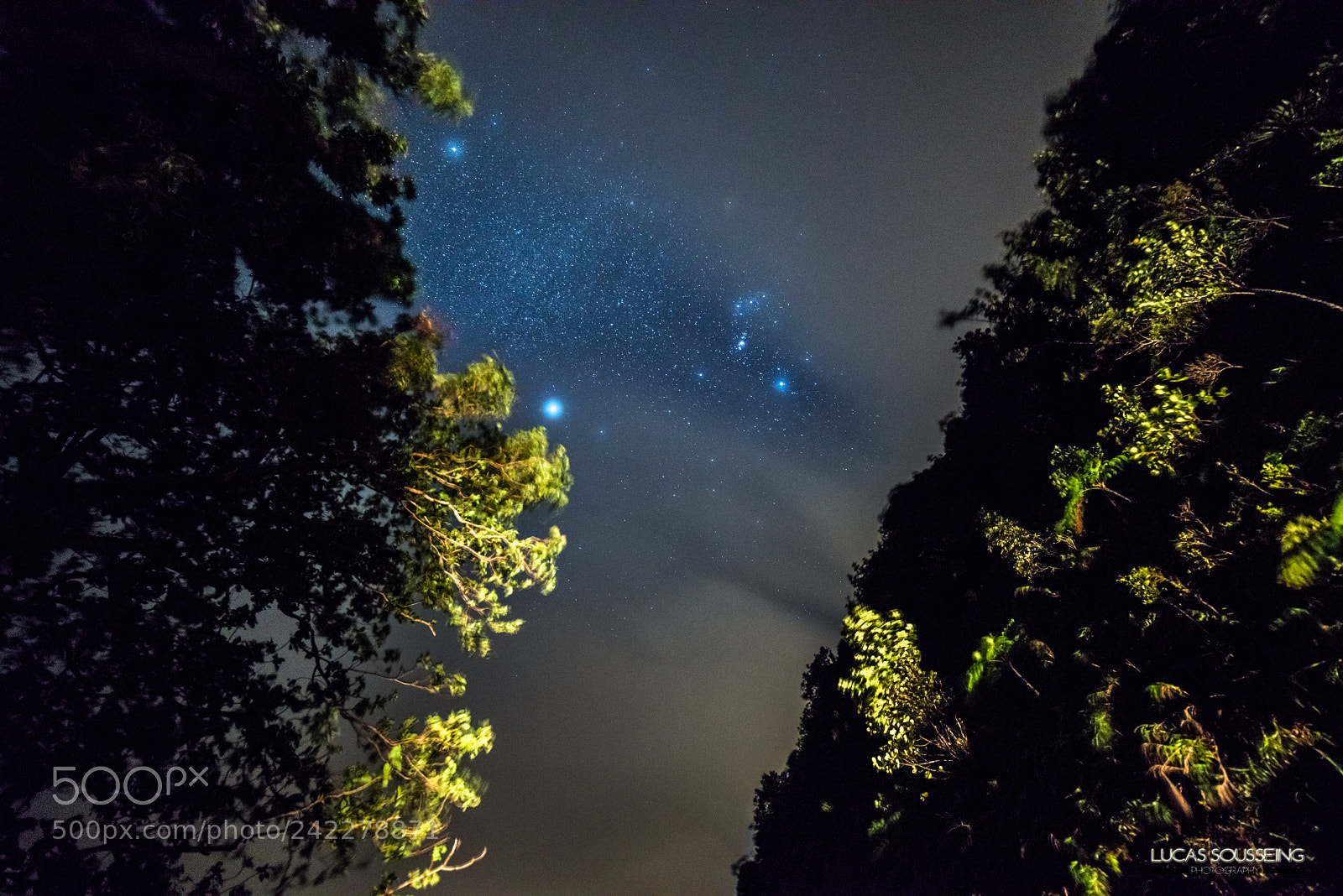 Nikon D800 sample photo. Milky way photography