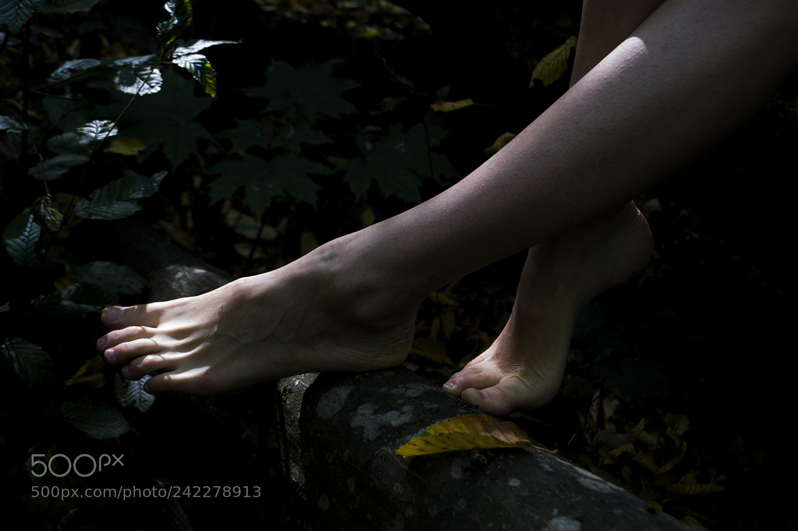 Nikon D3100 sample photo. A fragile balance photography