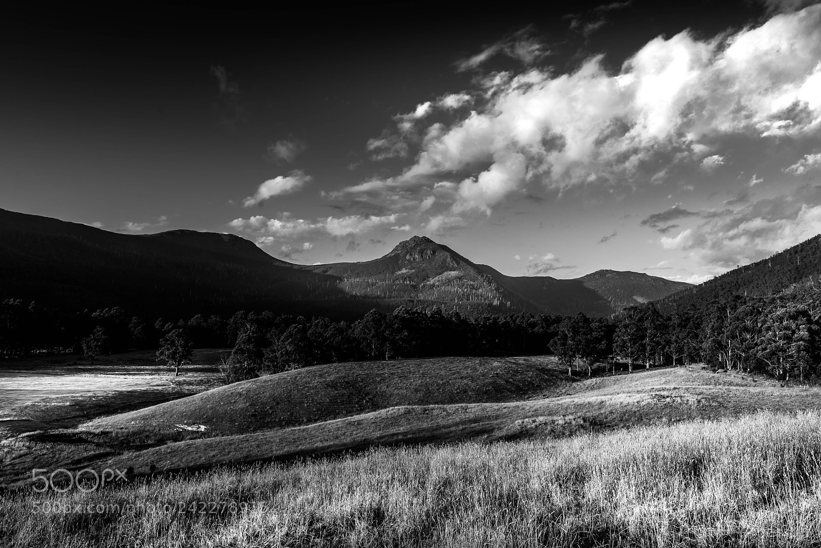 Nikon D810 sample photo. Mountain river, tasmania photography