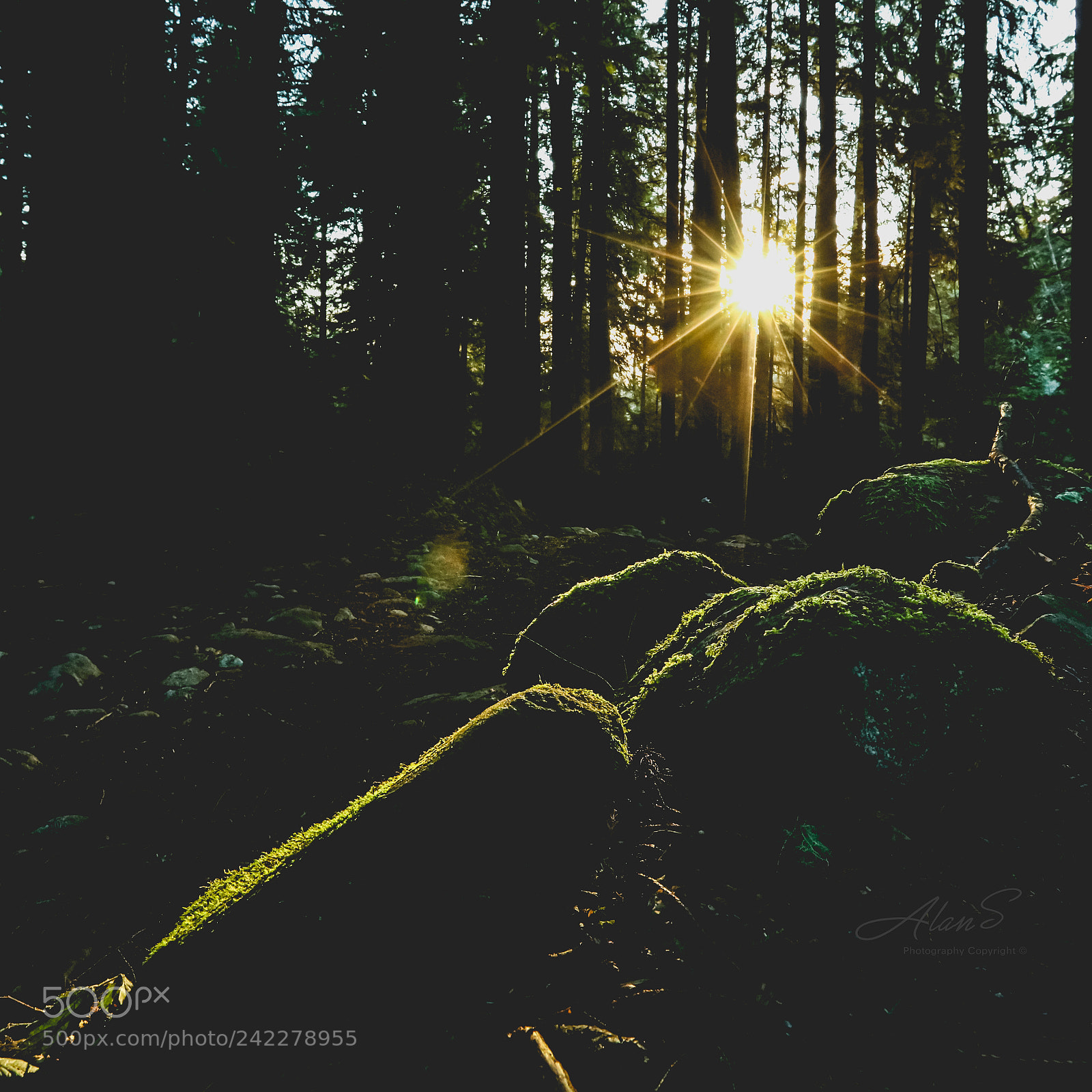 Canon EOS 5DS R sample photo. Edge of light photography