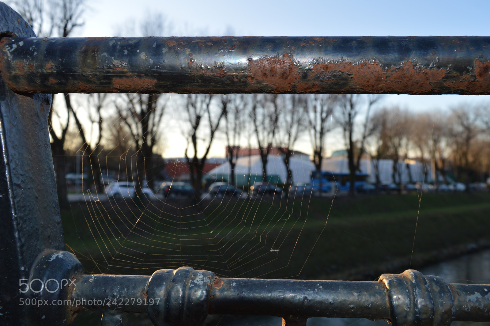 Nikon D3200 sample photo. Vicenza / italia photography