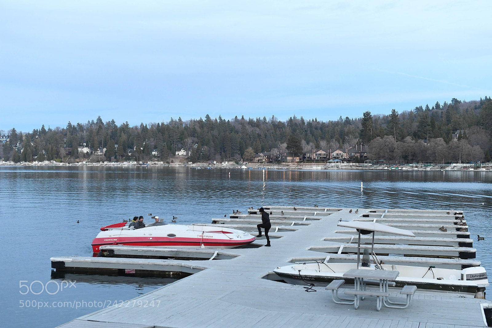 Nikon D5 sample photo. Arrowhead lake ca photography