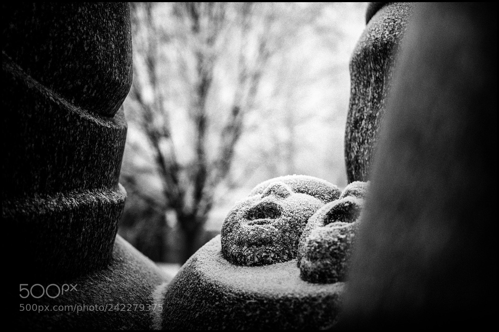 Fujifilm X-E1 sample photo. Stoned babies photography