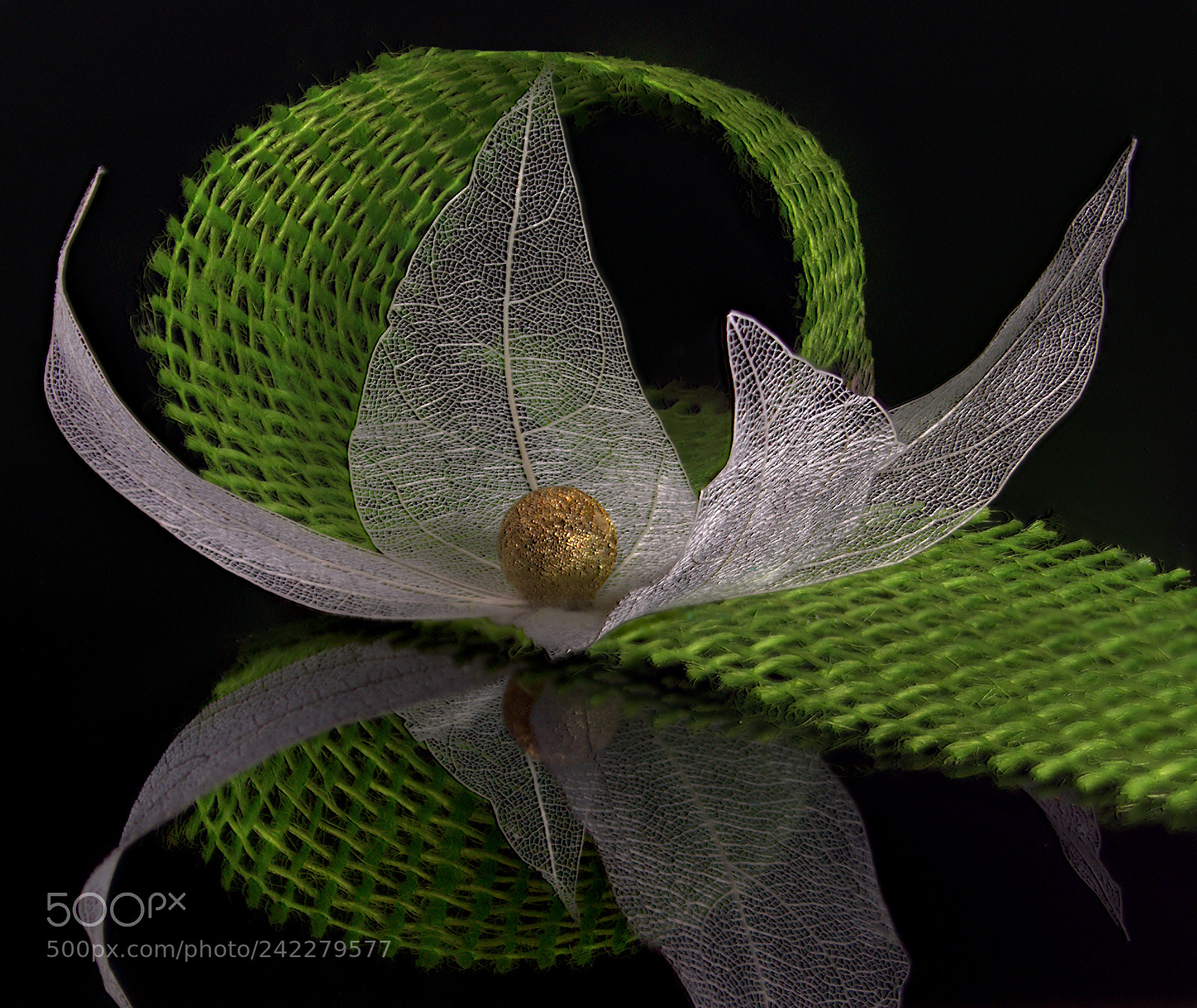 Pentax K-5 sample photo. Floral photography