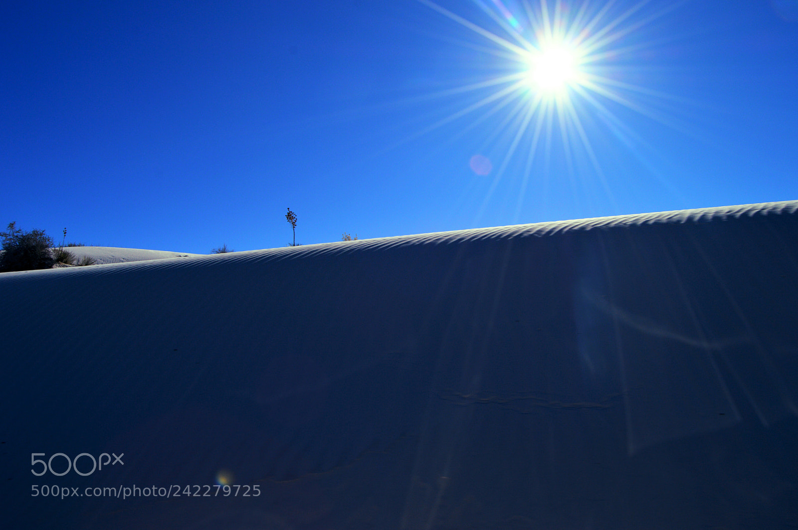Nikon D3200 sample photo. White sands photography