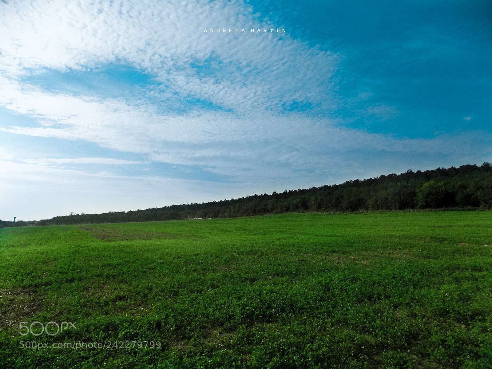 Nikon COOLPIX L340 sample photo. Beautiful landscapes photography