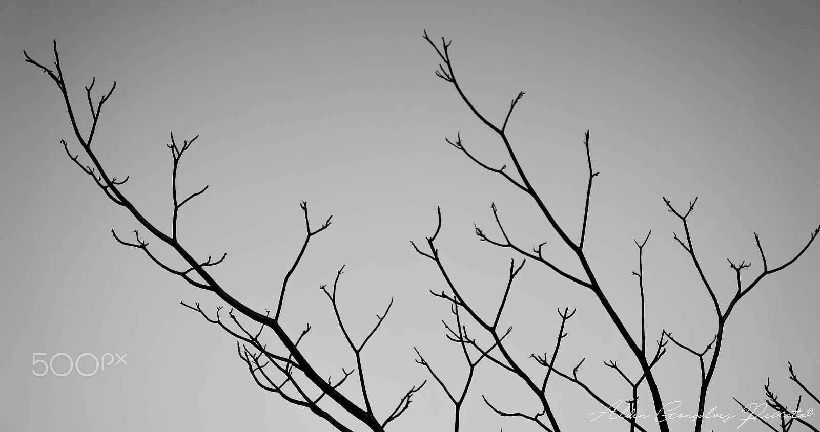 Sony Alpha NEX-C3 sample photo. Draw in the sky photography