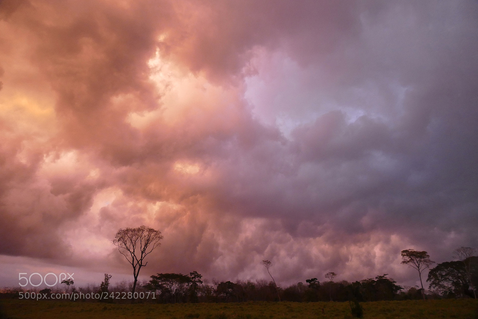 Leica V-Lux (Typ 114) sample photo. Sky on fire 1 photography