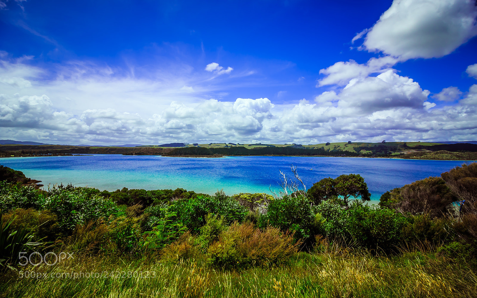 Canon EOS 7D Mark II sample photo. Kai iwi lake photography