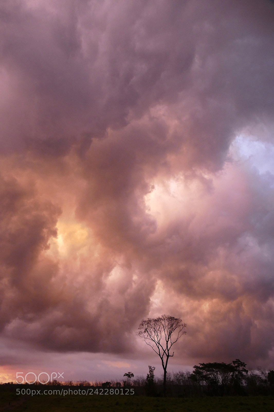 Leica V-Lux (Typ 114) sample photo. Sky on fire 2 photography