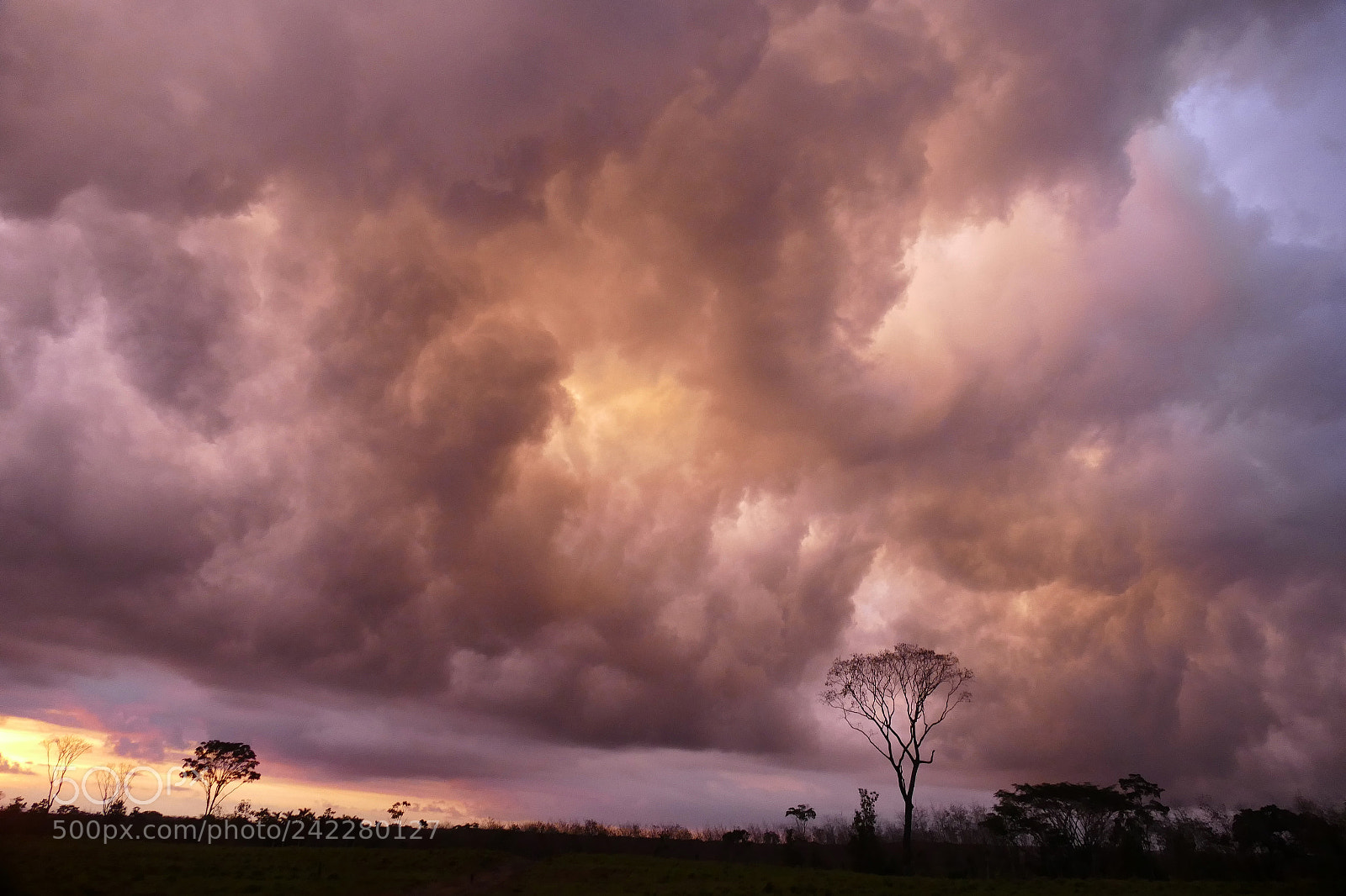Leica V-Lux (Typ 114) sample photo. Sky on fire 3 photography