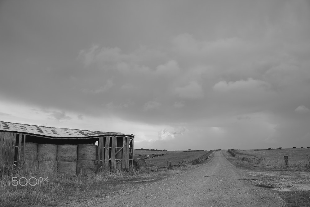 Canon EOS 60D sample photo. Yanns road barn photography