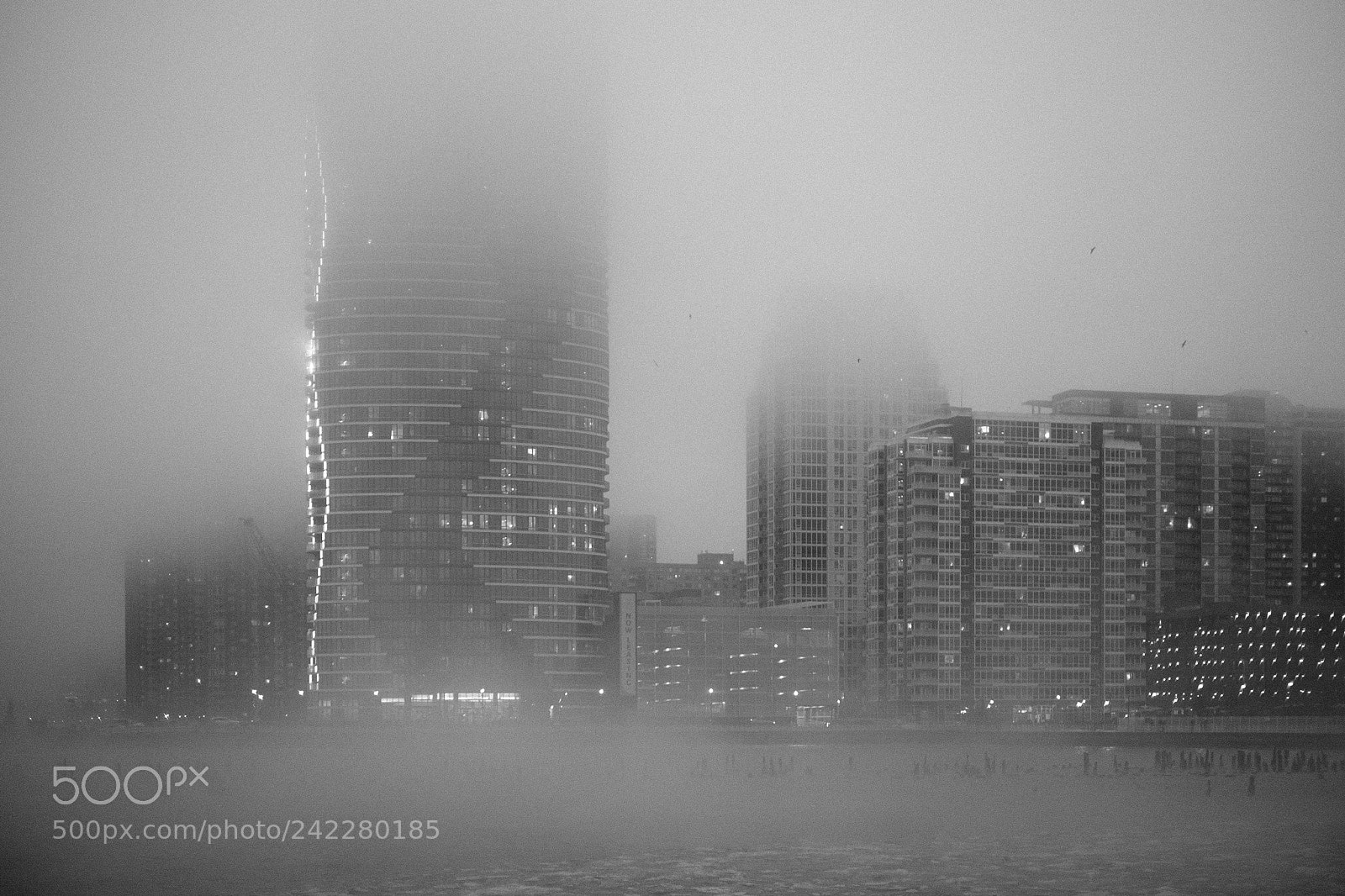 Fujifilm X-Pro1 sample photo. Rising through the fog photography