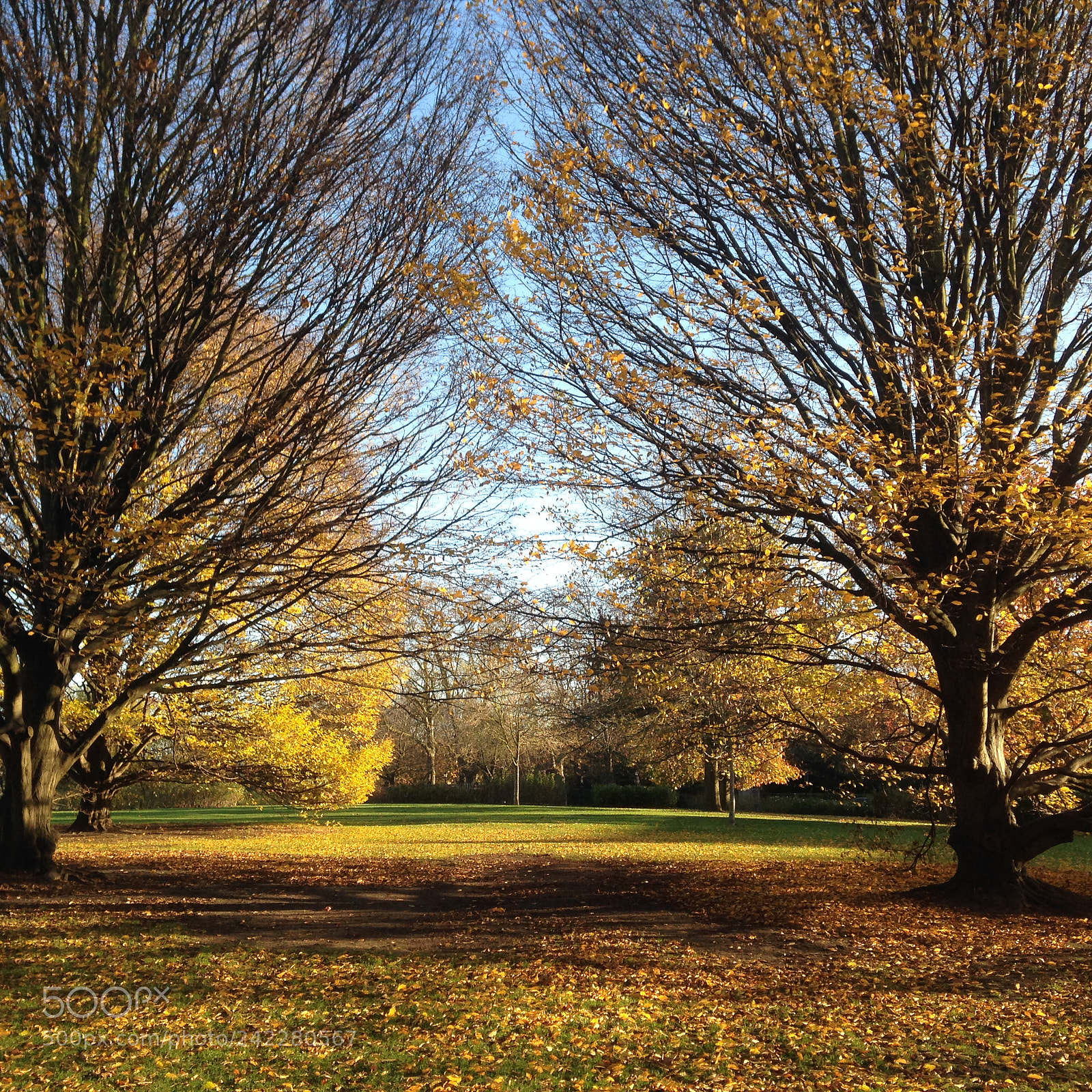 Apple iPhone 5 sample photo. Autumn in london photography