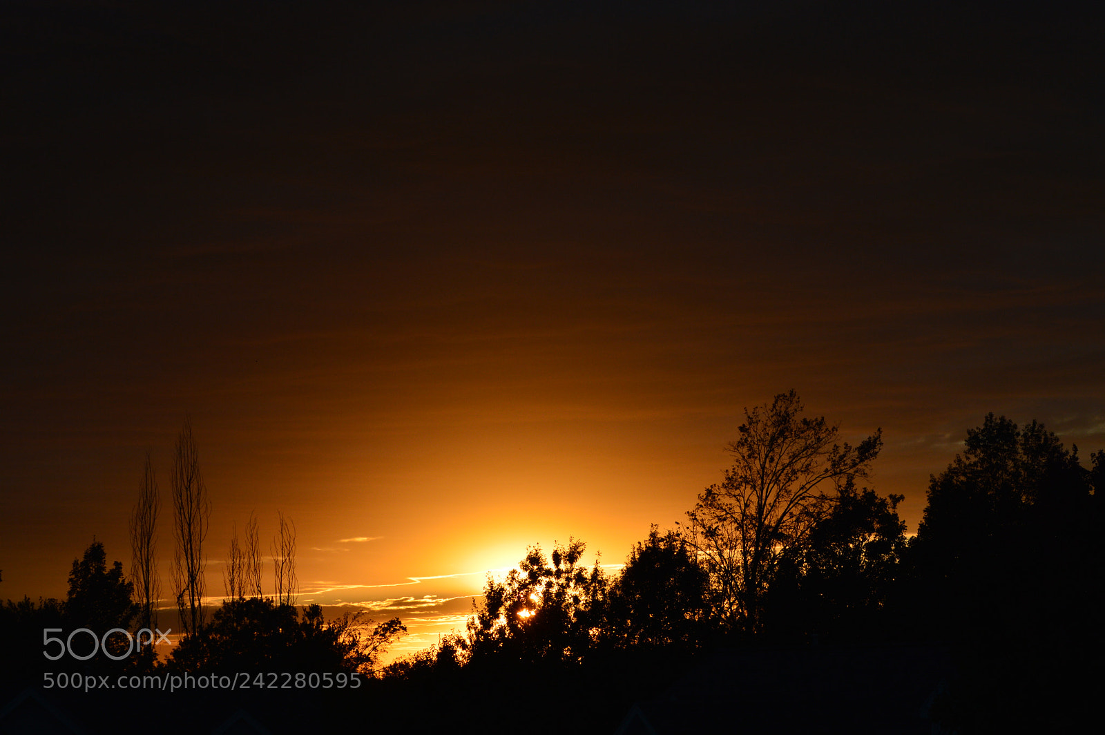 Nikon D3200 sample photo. Fall sunset photography