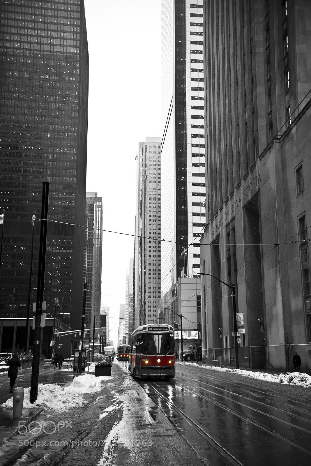 Nikon D800 sample photo. Red on a sad photography