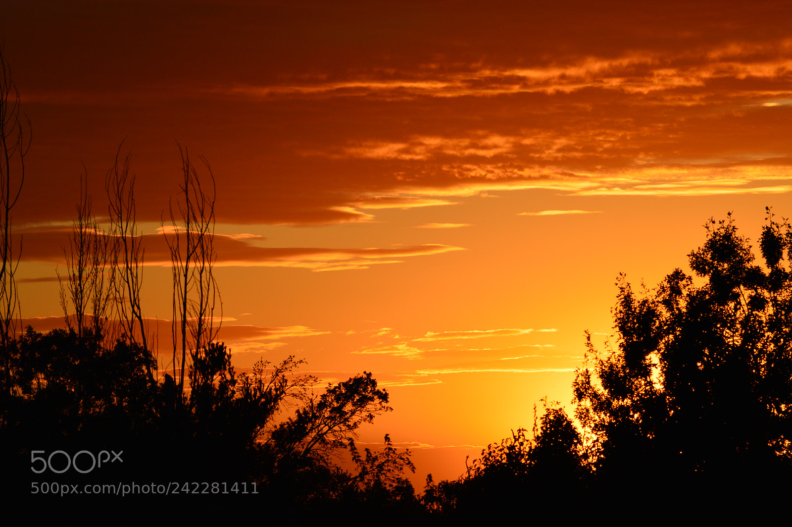 Nikon D3200 sample photo. Golden sunset photography