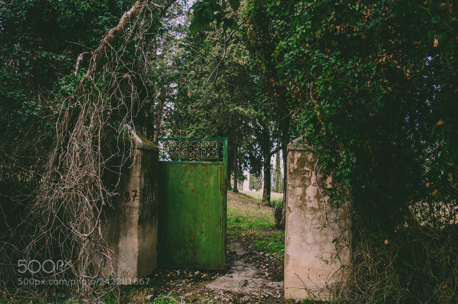 Nikon D3200 sample photo. Secret garden photography