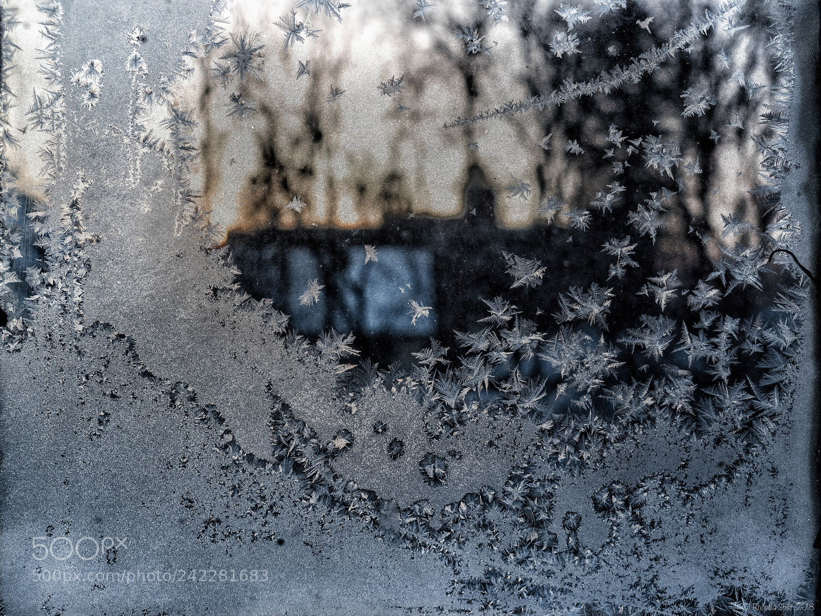 Olympus OM-D E-M5 II sample photo. Cold morning in arnprior photography