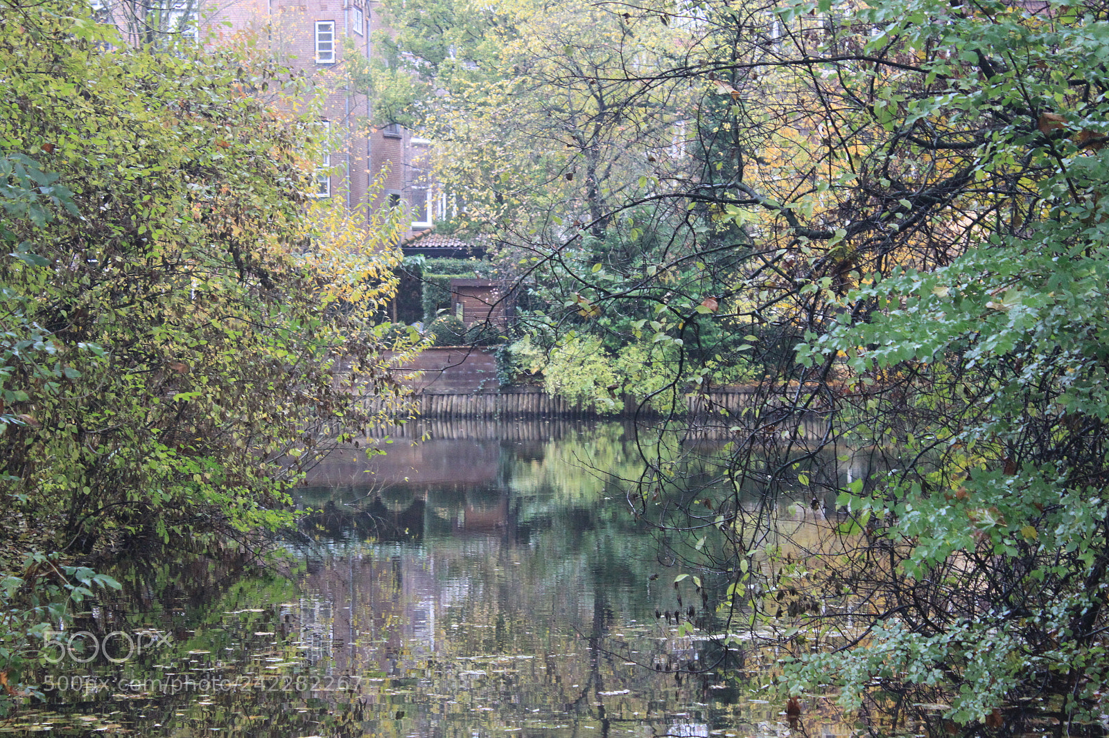 Canon EF-S 18-55mm F3.5-5.6 IS sample photo. Volden park amsterdam photography