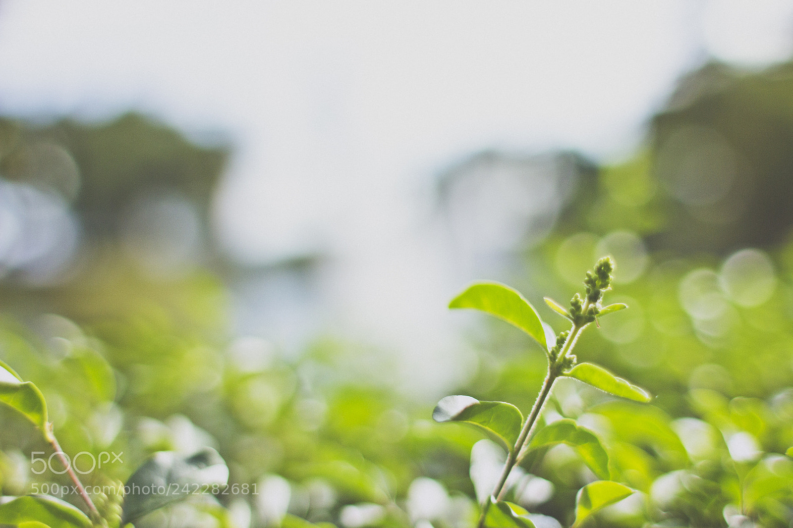 Canon EOS 60D sample photo. Hope photography