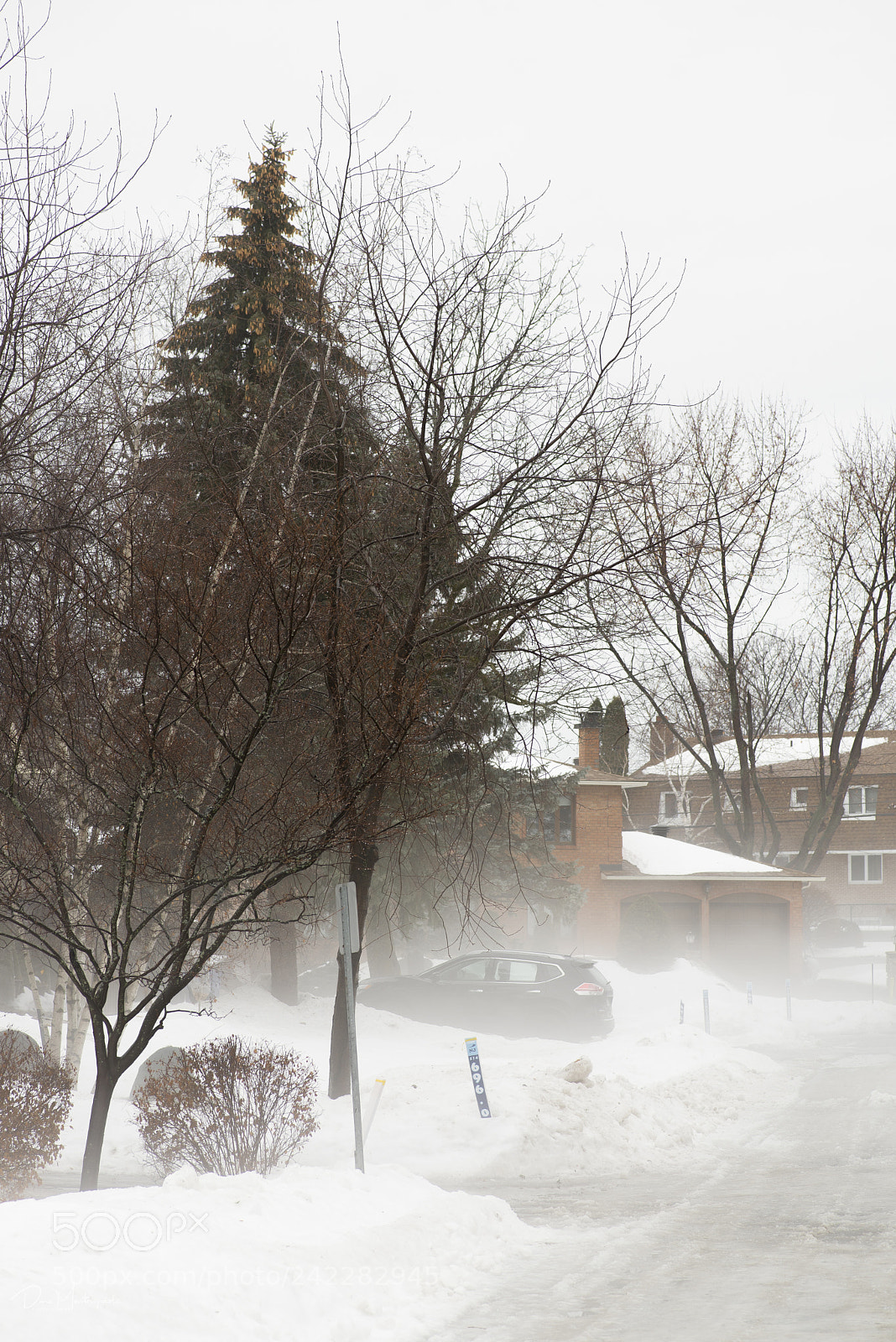 Nikon D600 sample photo. Hollis road photography