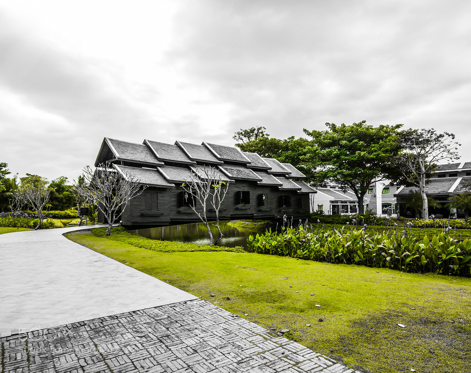 Canon EOS 750D (EOS Rebel T6i / EOS Kiss X8i) sample photo. Malika r.e. 124 photography