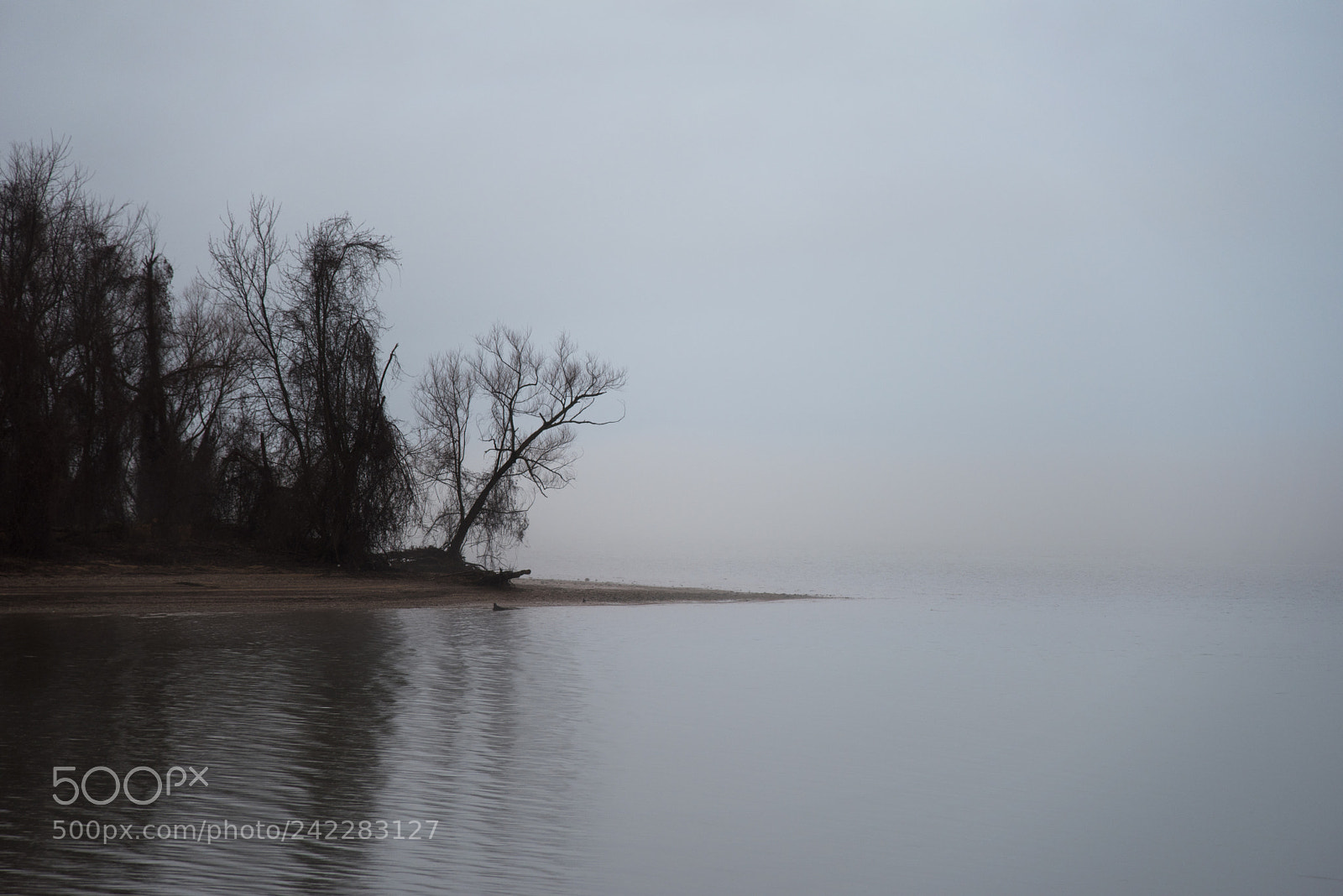 Nikon D810 sample photo. Foggy refuge photography