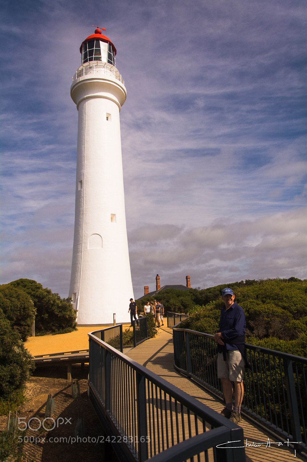 Nikon D7100 sample photo. Standing tall photography