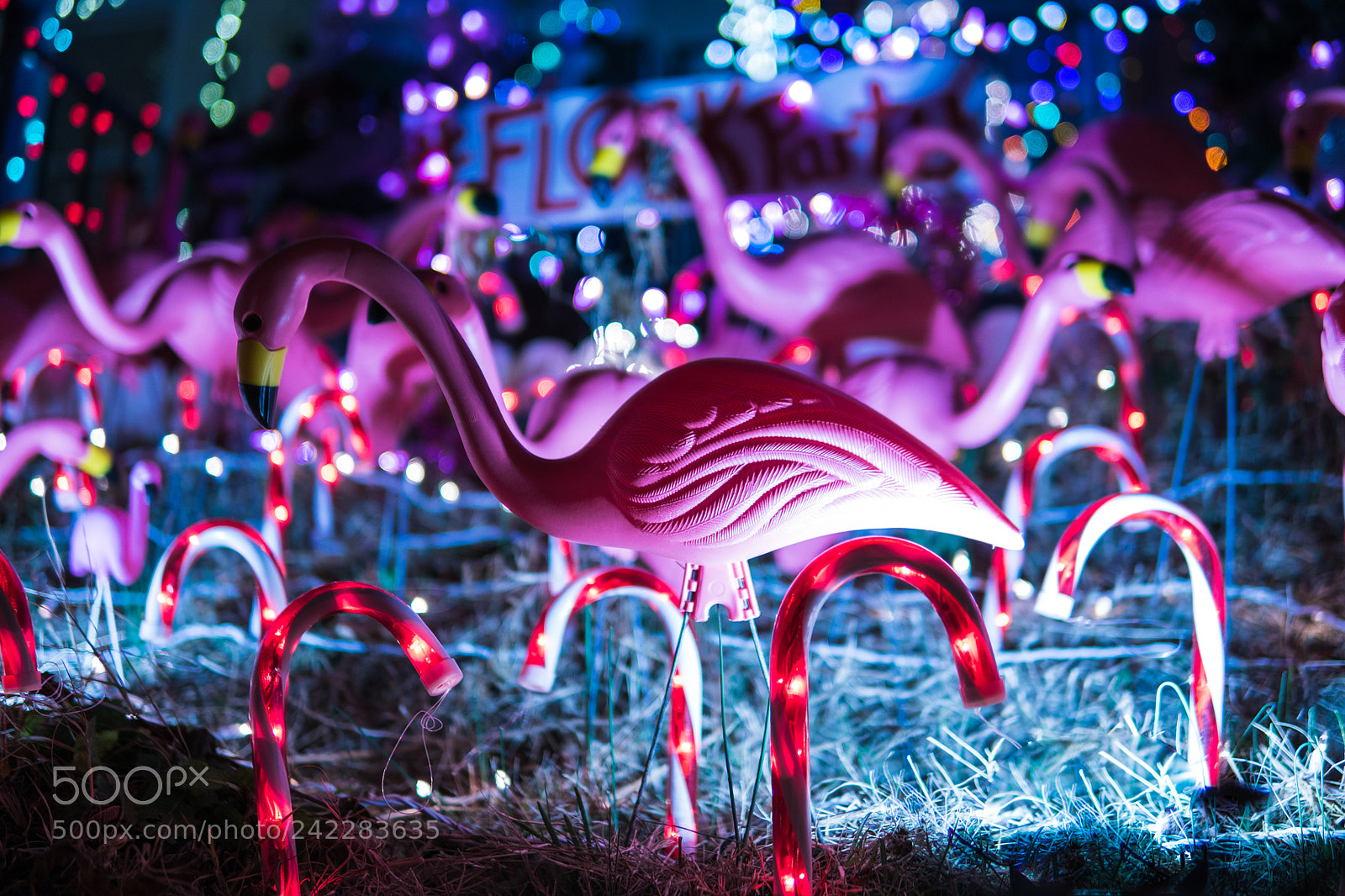 Sony a6300 sample photo. Miracle on 34th street photography