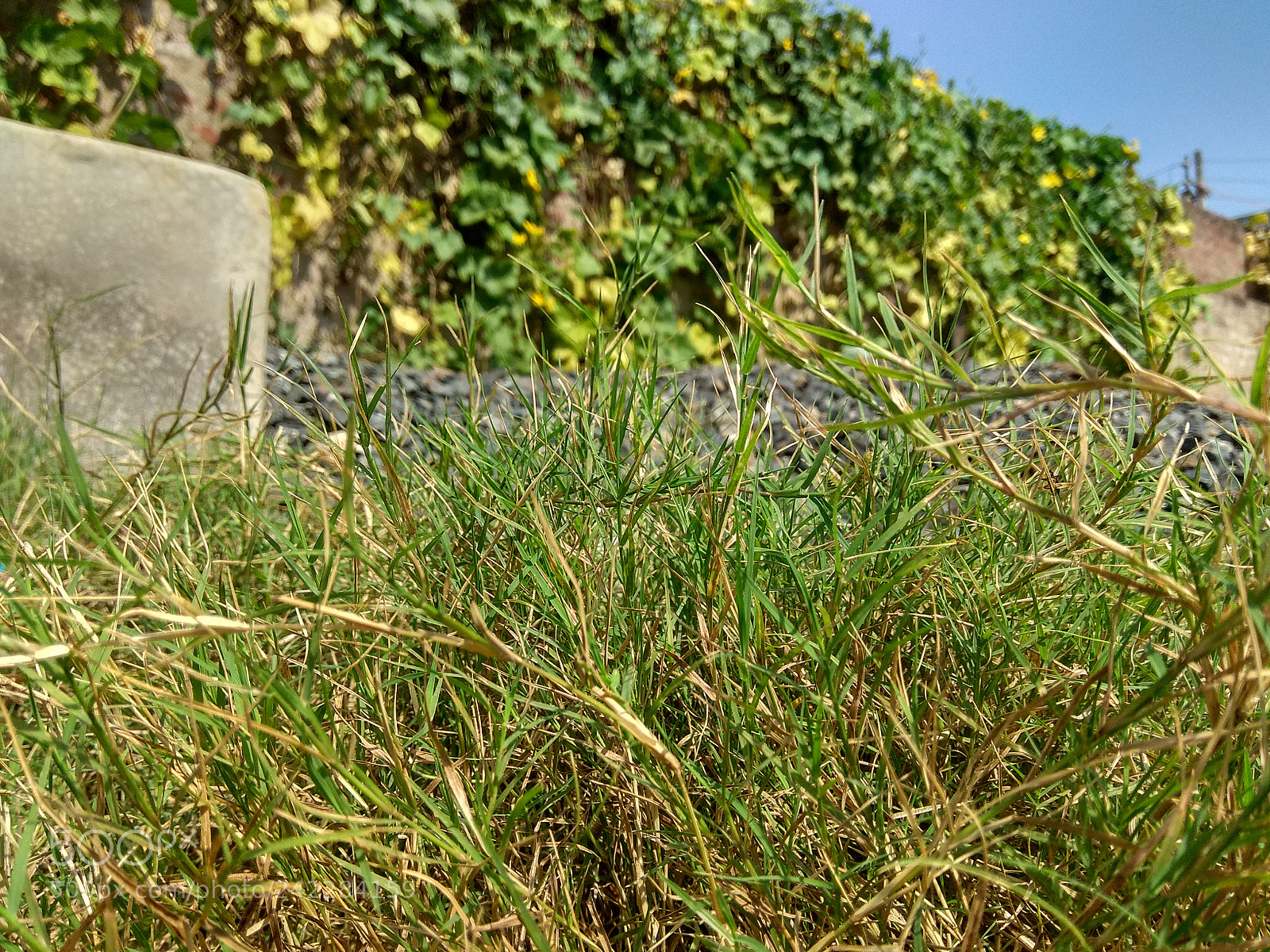 Xiaomi Redmi Note 4 sample photo. Hdr photography