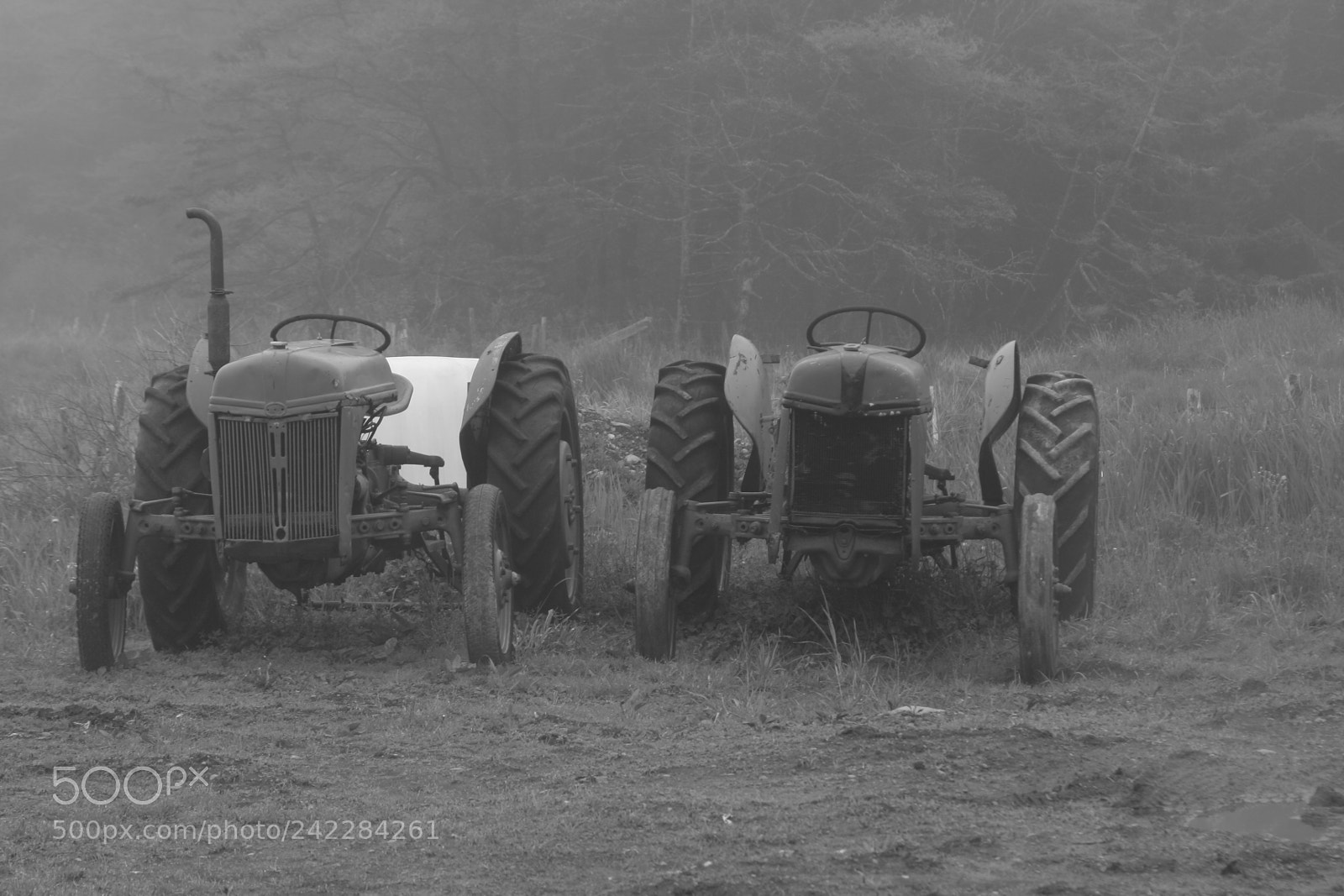 Canon EOS 350D (EOS Digital Rebel XT / EOS Kiss Digital N) sample photo. Old work horses photography