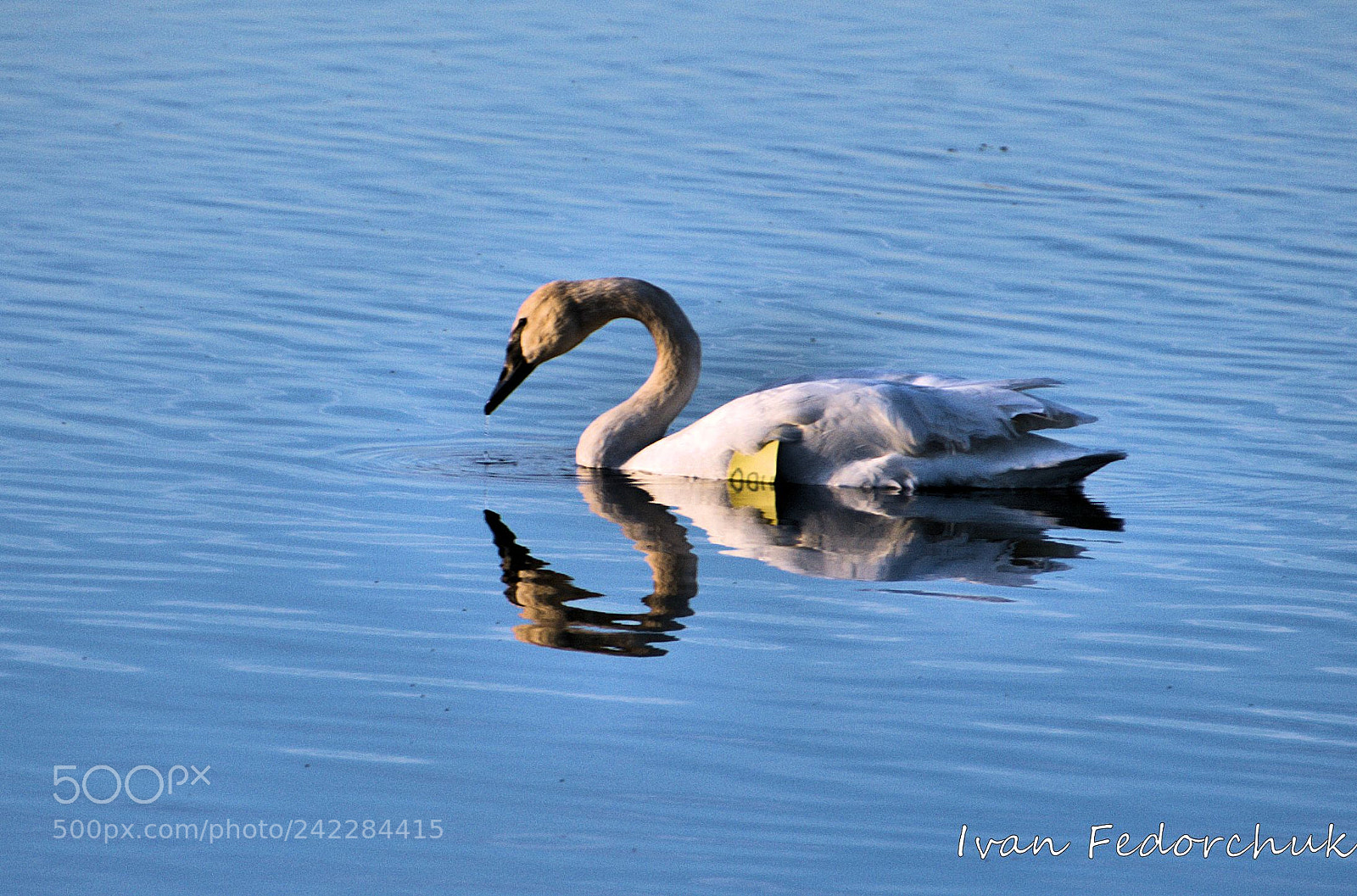 Nikon D80 sample photo. 022 -1.jpg photography