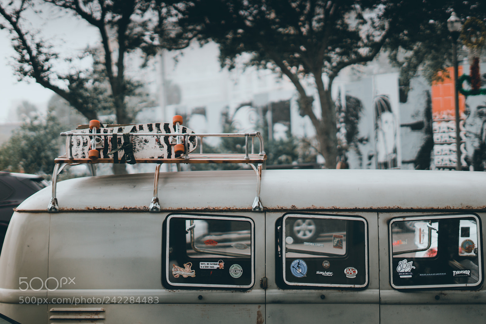Sony a6500 sample photo. Sk8brd st. pete, fl photography