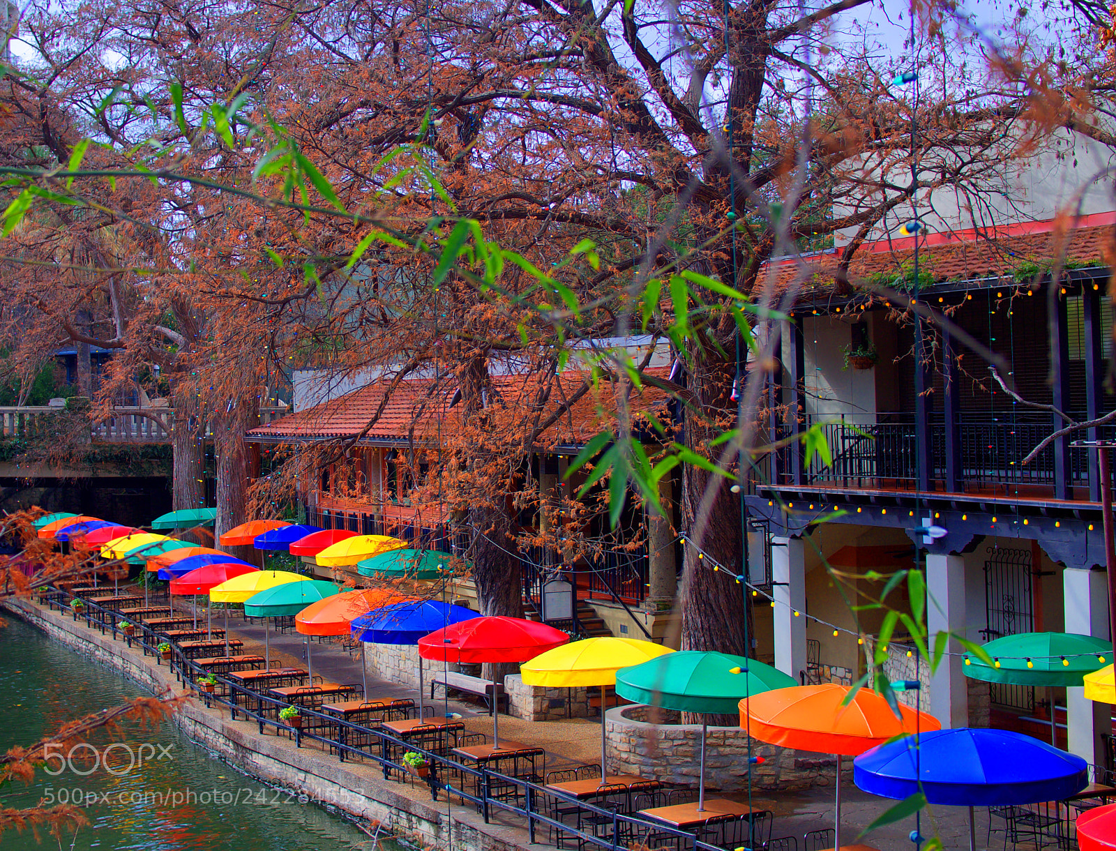 Olympus PEN E-PL5 sample photo. Spectrum photography