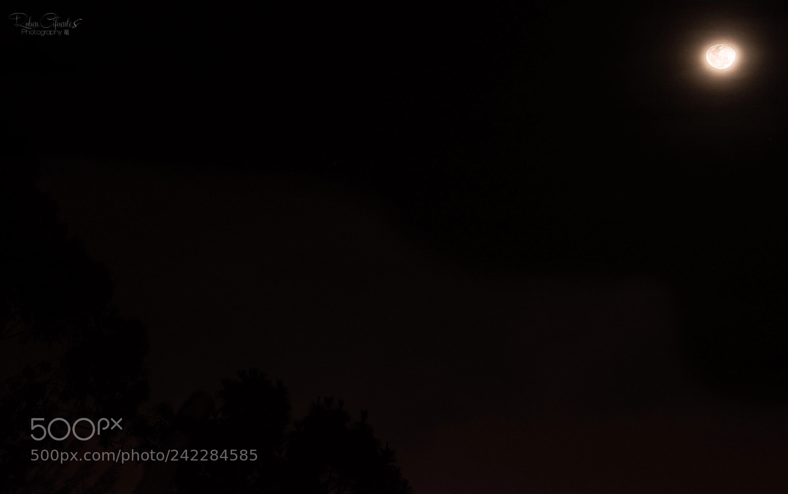 Nikon D7200 sample photo. January cheese moon photography