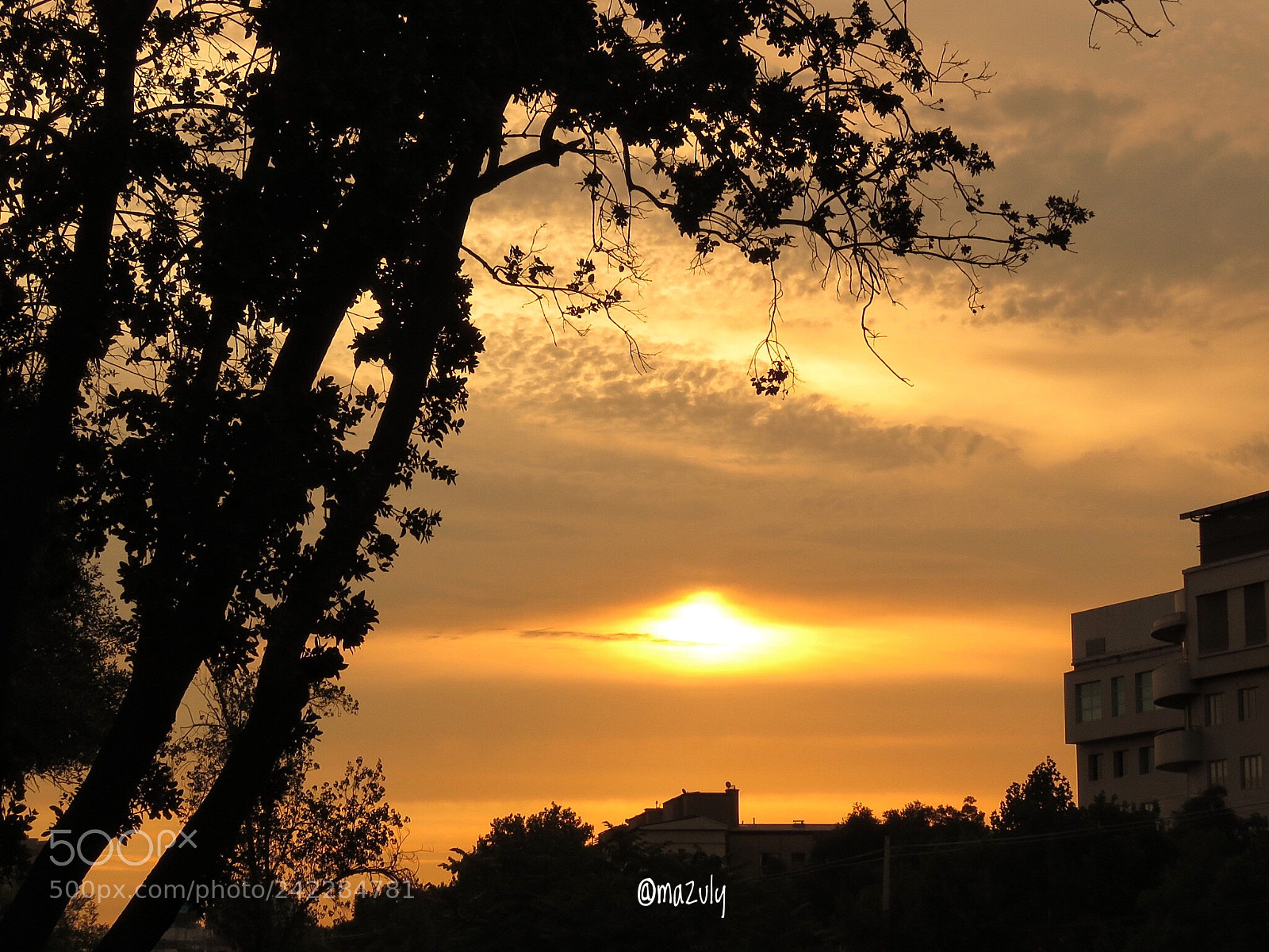 Canon PowerShot SX60 HS sample photo. Atardeciendo... photography