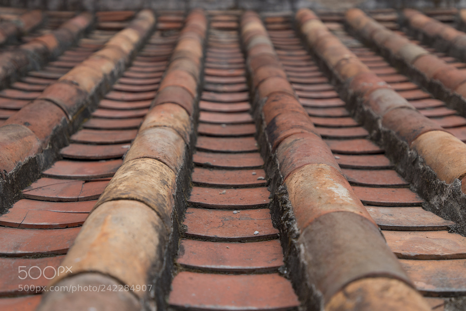 Canon EOS 6D Mark II sample photo. Red tile photography