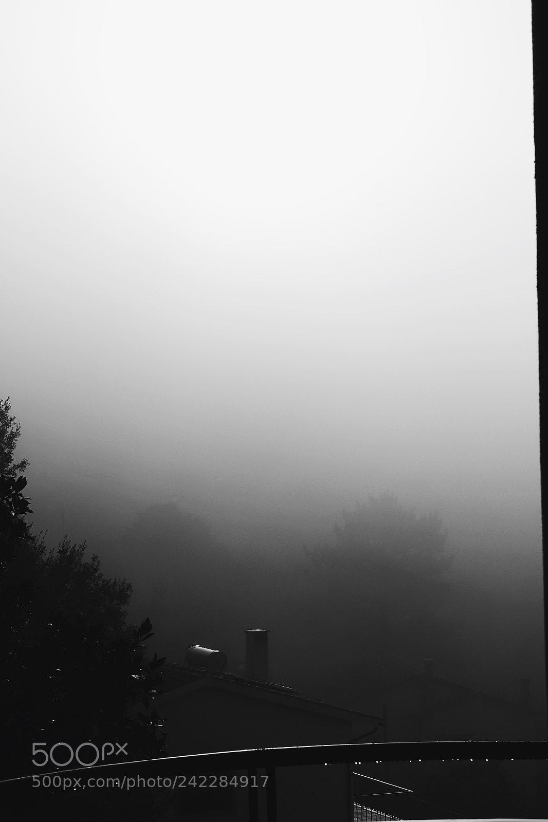 Canon EOS 1300D (EOS Rebel T6 / EOS Kiss X80) sample photo. Misty morings in coimbra ? photography