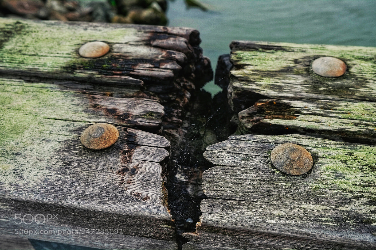 Fujifilm X-Pro1 sample photo. Scarred but not broken photography