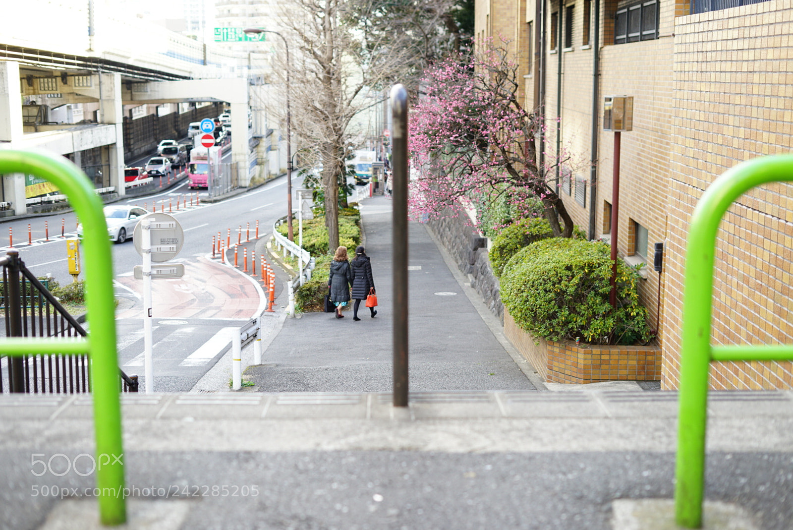 Sony a7 II sample photo. Eearly spring photography