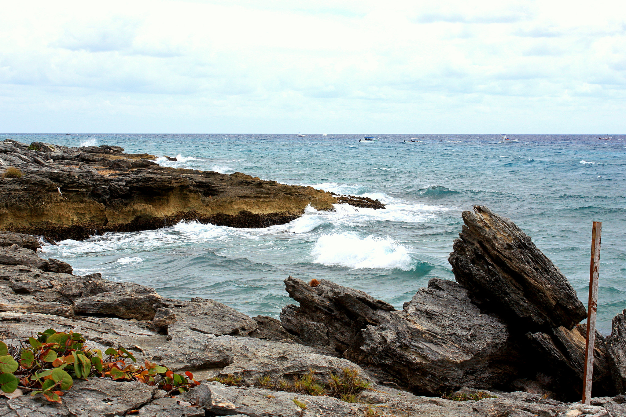 Canon EOS 450D (EOS Rebel XSi / EOS Kiss X2) sample photo. Riviera maya adventure photography